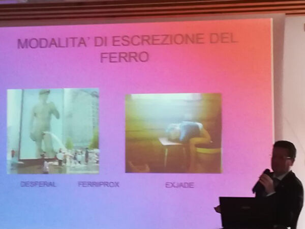 Winter Academy - Ferrara, 12 novembre 2017 - Foto 5