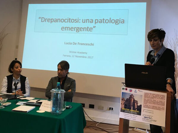 Winter Academy - Ferrara, 12 novembre 2017 - Foto 10